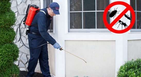 Hayrat Kene İlaçlama böcek ilaçlama ve haşere kontrolü — ilaclama-tr.com